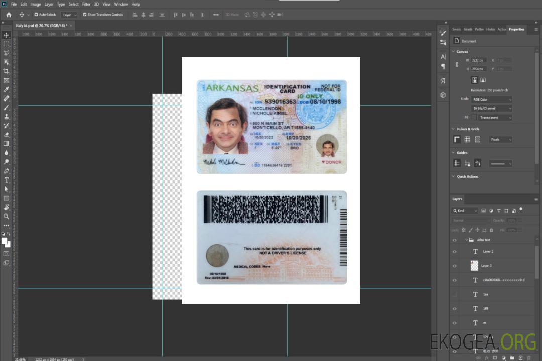 Carte d'identité de l'Arkansas aux États-Unis template Carte d'identité de l'Arkansas aux États-Unis template